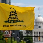 A Guide to the History of the Gadsden Flag